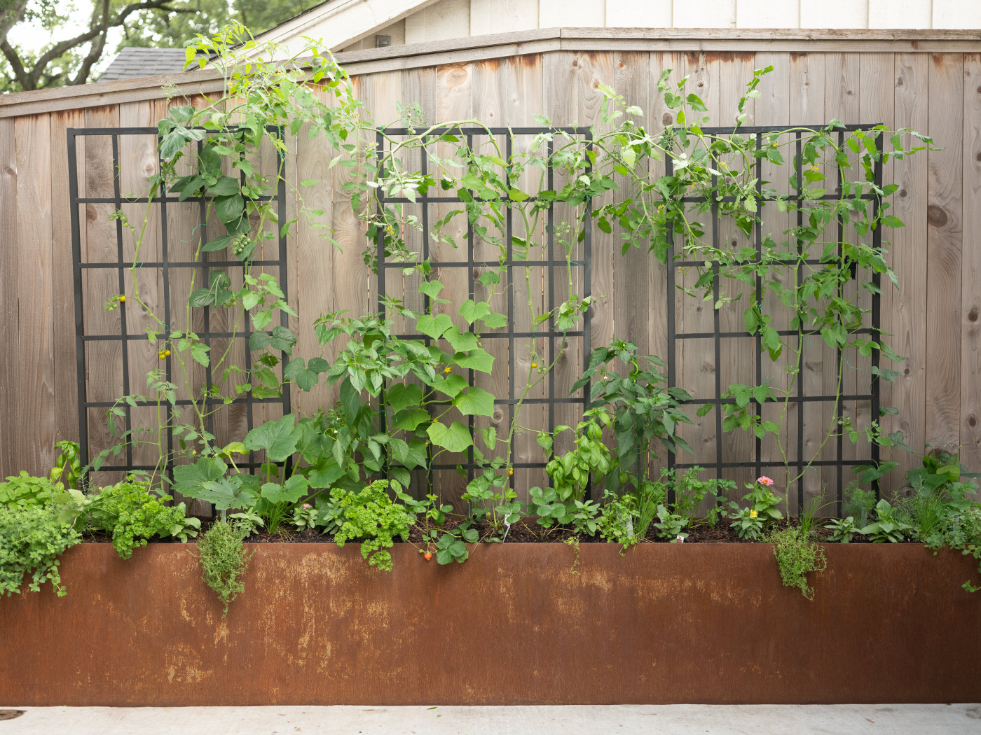 Lattice Panel Trellis