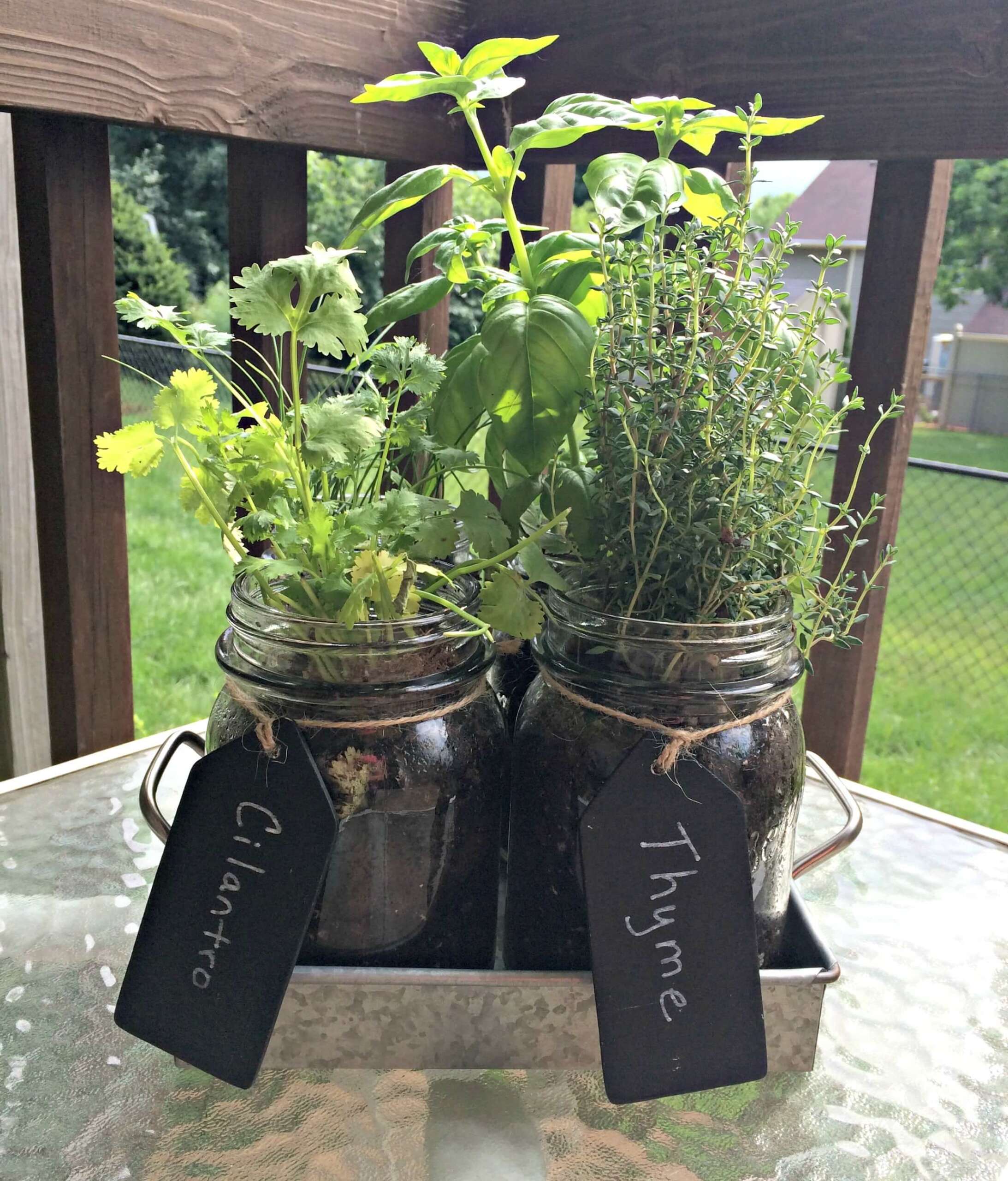 Mason Jar Herb Pots