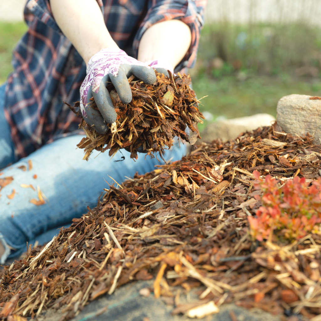 Use Mulch