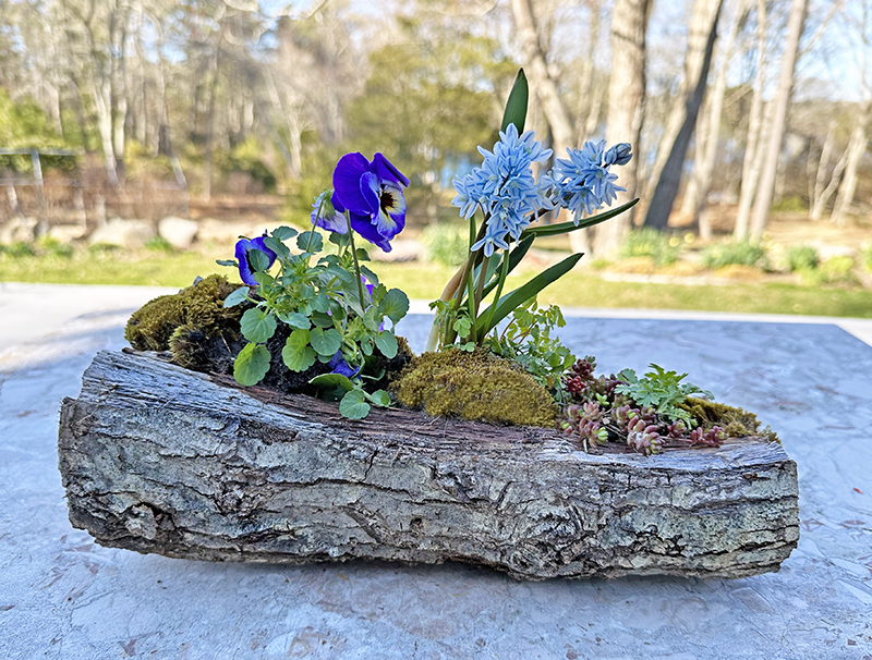 Rustic Log Planters