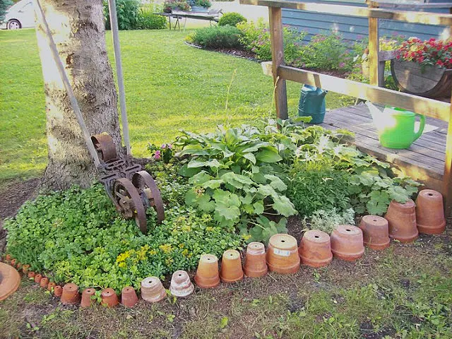 Terracotta Pots