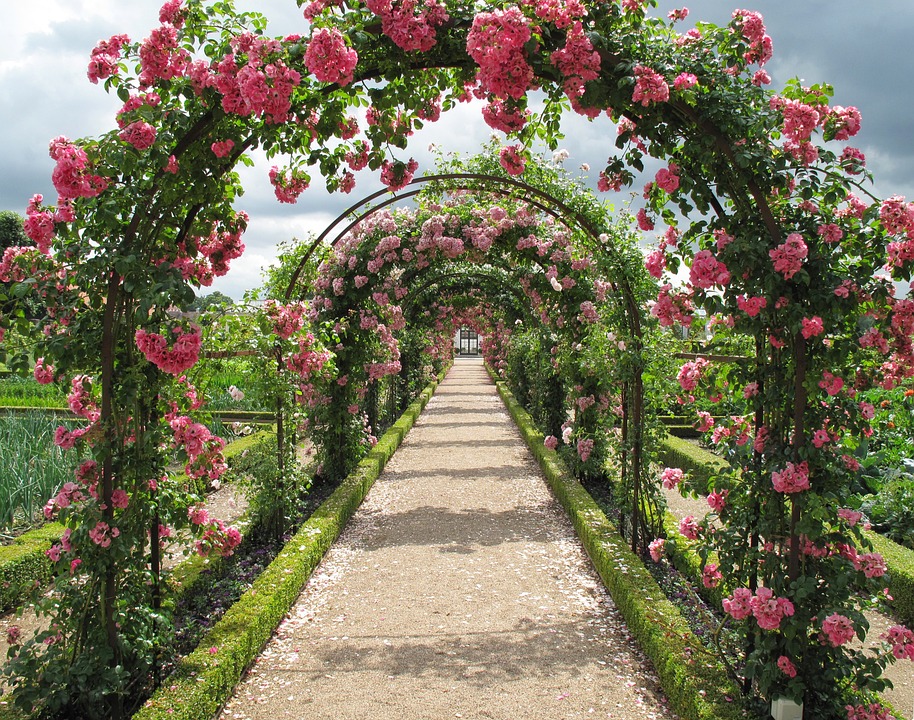 Beautiful Rose Tunnels