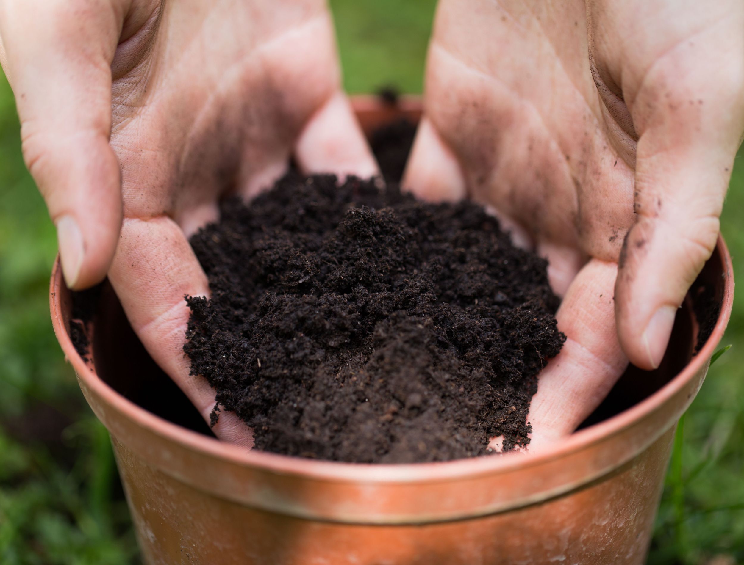 Rice Water Improves Soil Structure