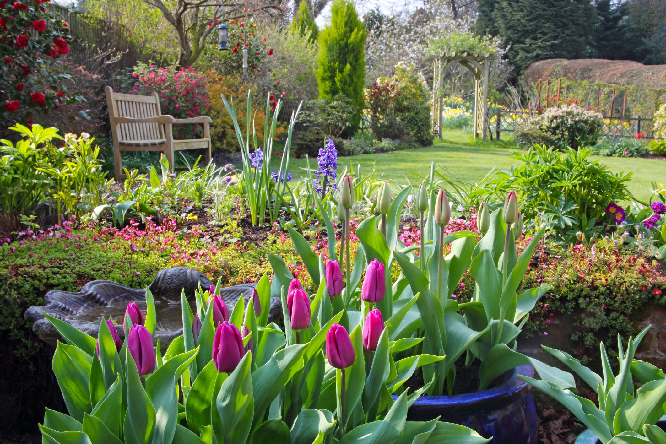 Garden in Spring