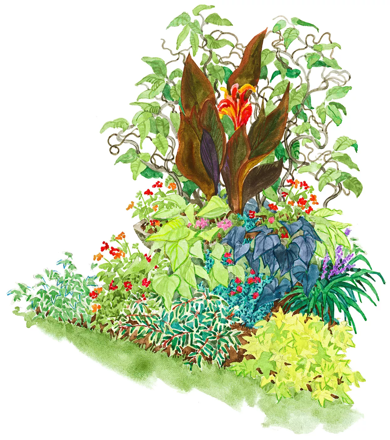 Tropical-Themed Garden Plan