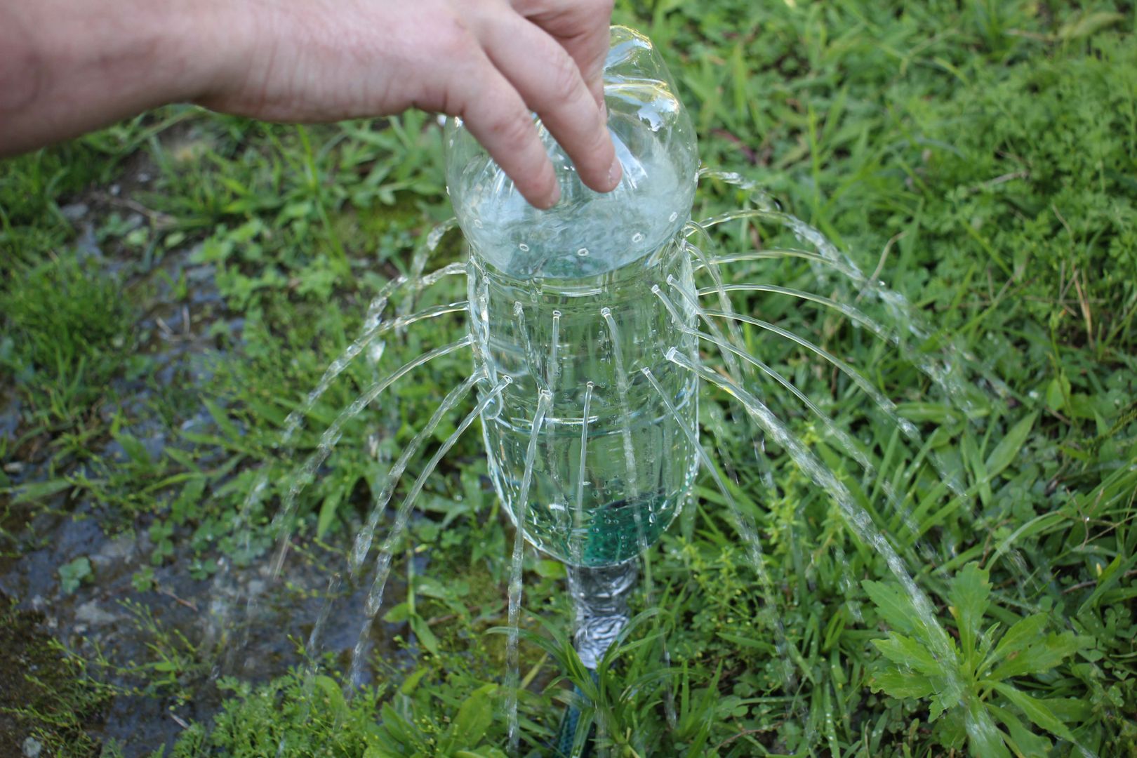 Preparing the Bottle