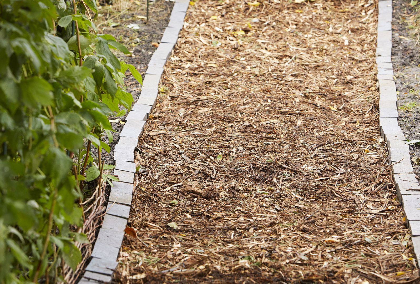 How to Make a Mulch Trail Path