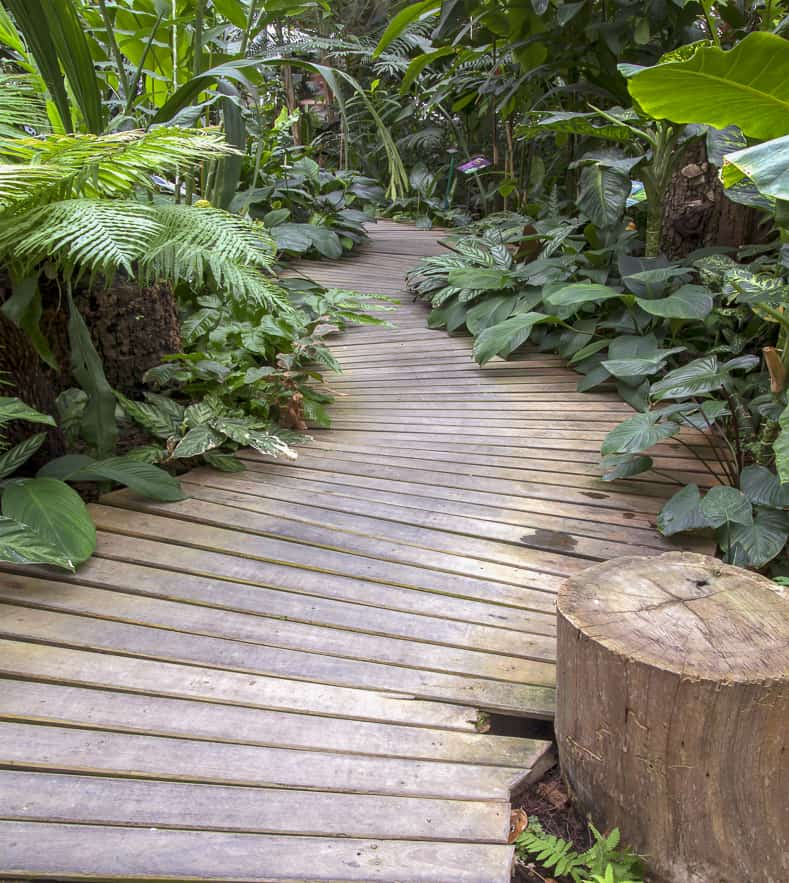 How to Create a Stunning Garden Pathway with Durable Reclaimed Wood