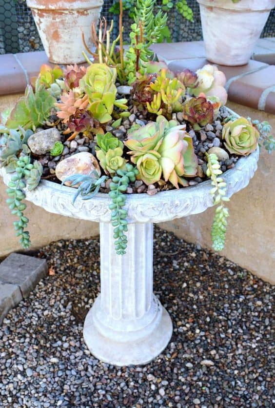 Chic Succulent Birdbath Planter