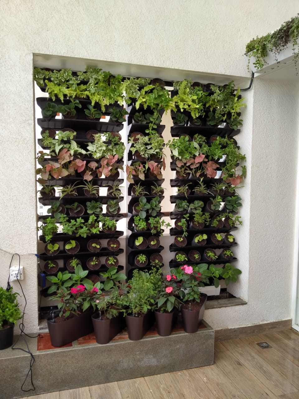 Vertical Garden 