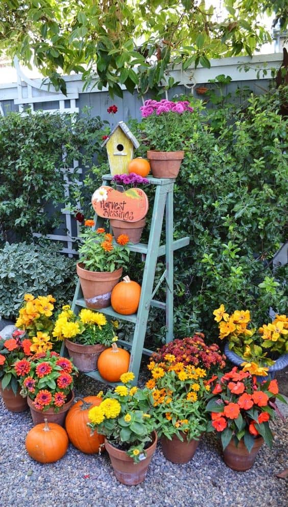 Vibrant Harvest Ladder 