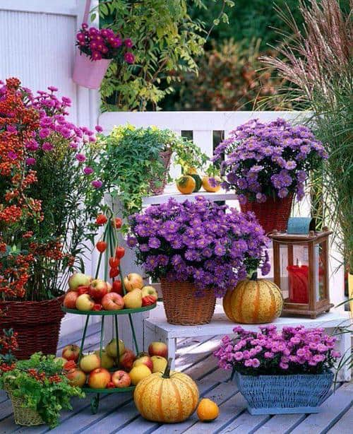 Vibrant Harvest Balcony Display