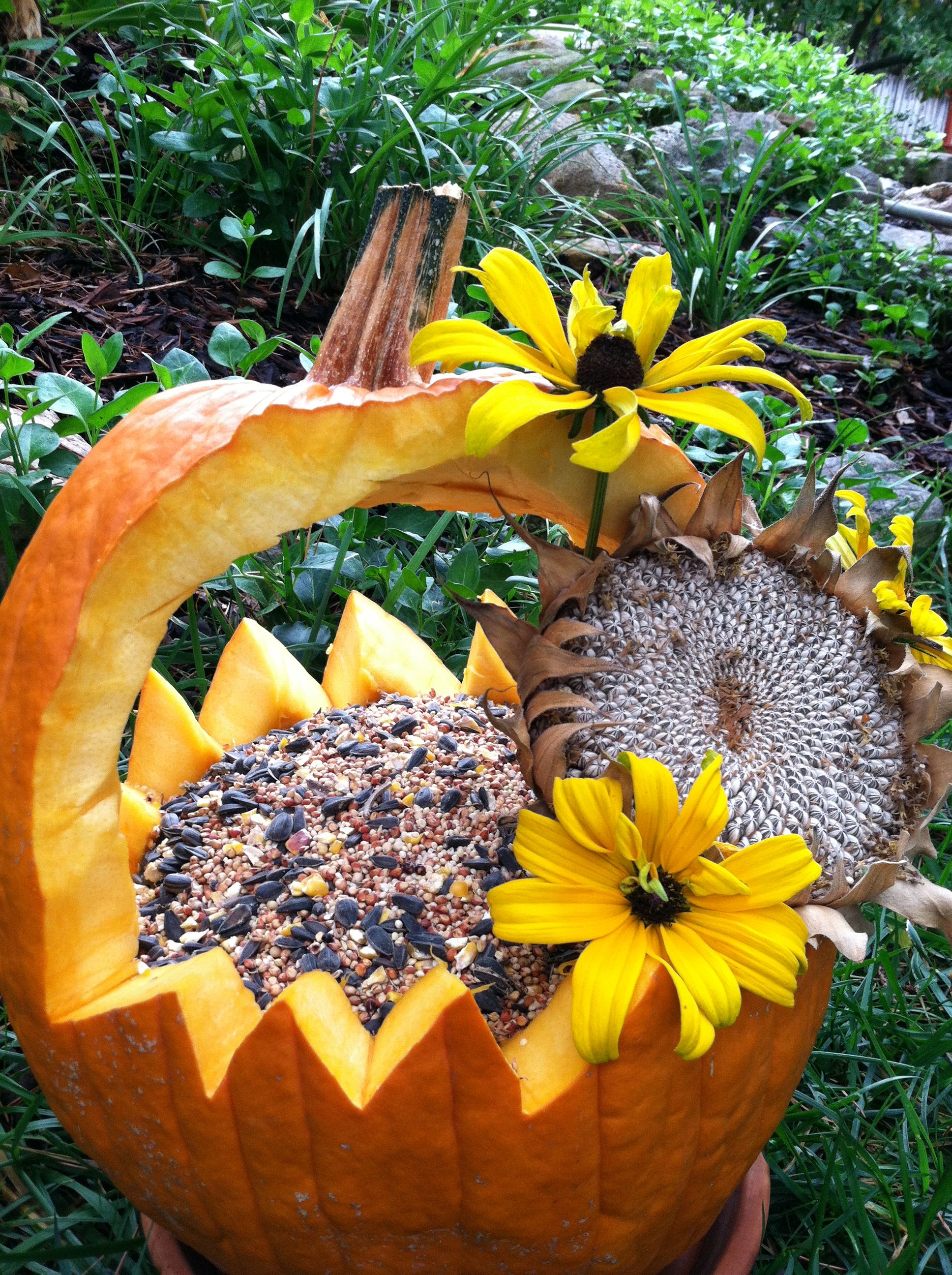 Pumpkin Bird Feeder