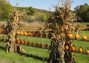 17 Halloween Fence Decorations to Elevate Your Haunted Vibes Next Season