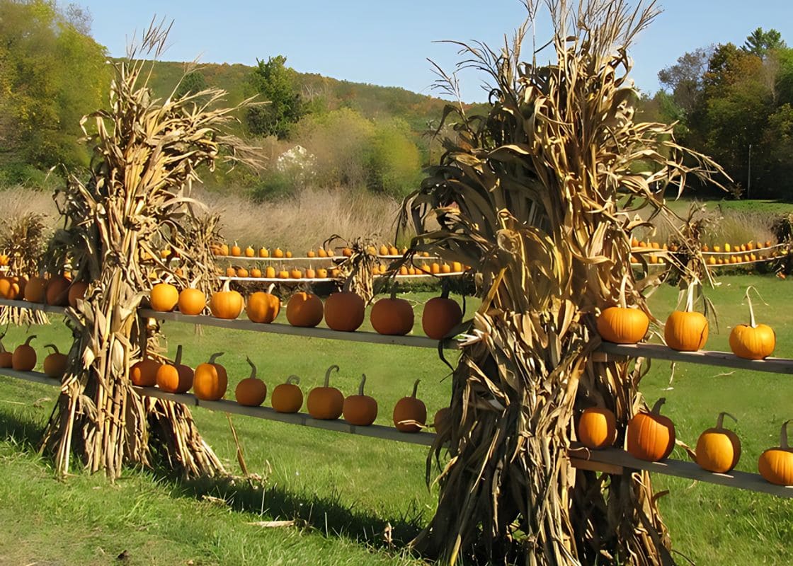 17 Halloween Fence Decorations to Elevate Your Haunted Vibes Next Season