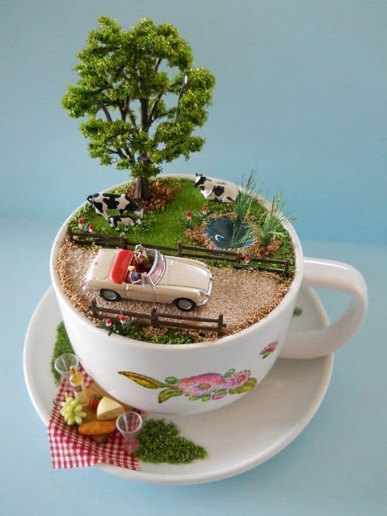 Countryside Teacup Adventure