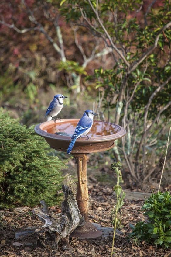 Rustic Clay Birdbath Charm