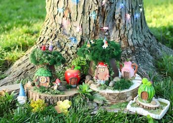 20 Best Ideas of Gnome Garden for Backyard