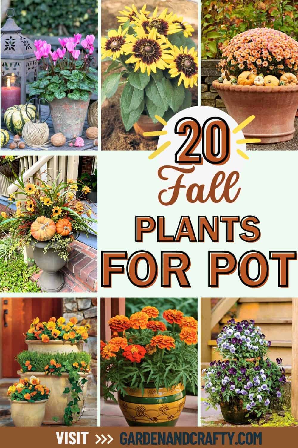 20 Stunning Fall Plants to Elevate Your Pots This Season