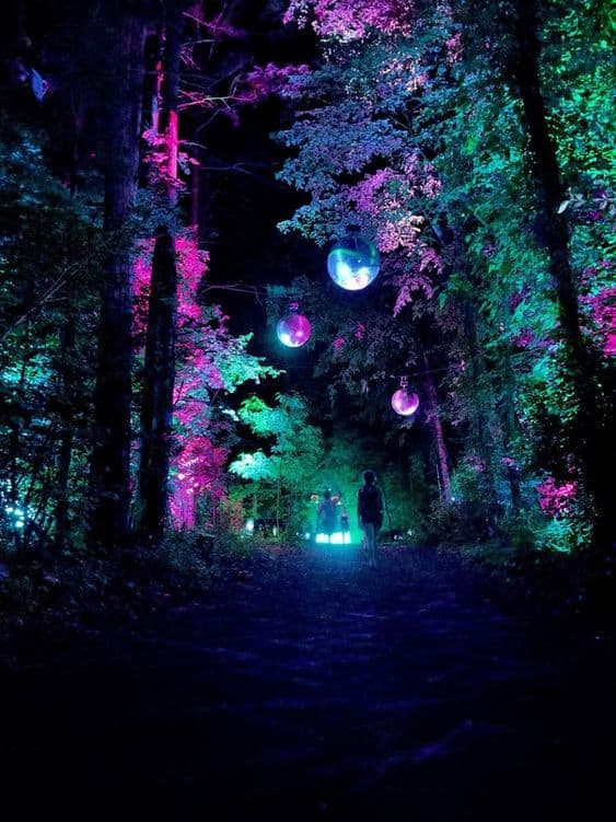 Magical Enchanted Forest Halloween