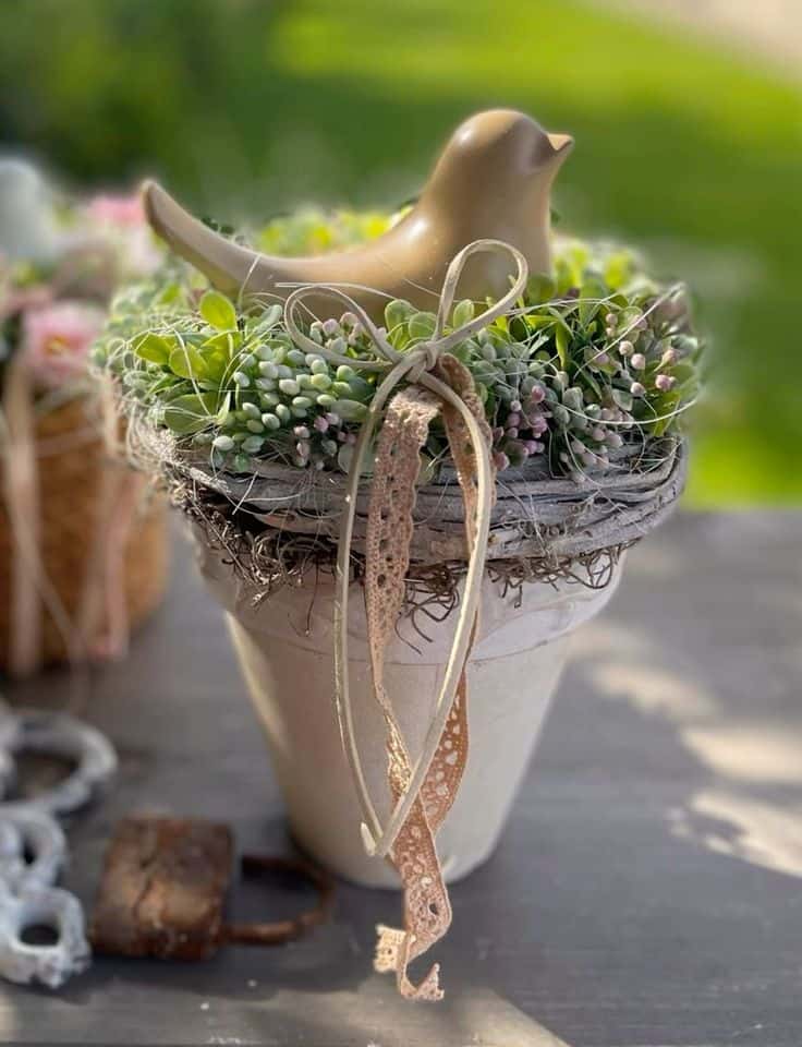 Bird Nest Teacup Garden