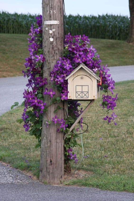 Rustic Floral Mailbox Delight