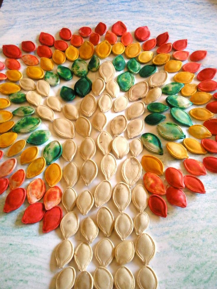 Pumpkin Seed Art Project