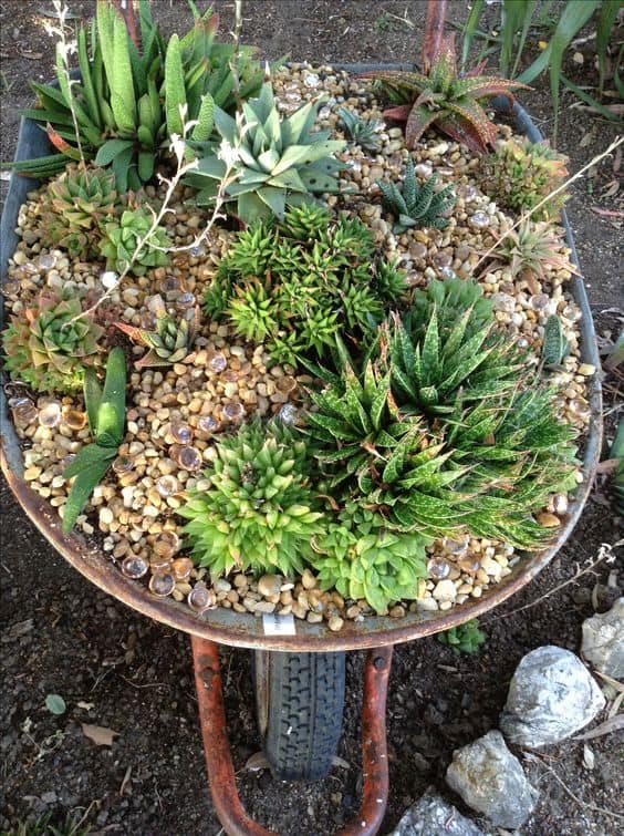 Rustic Succulent Rock Garden