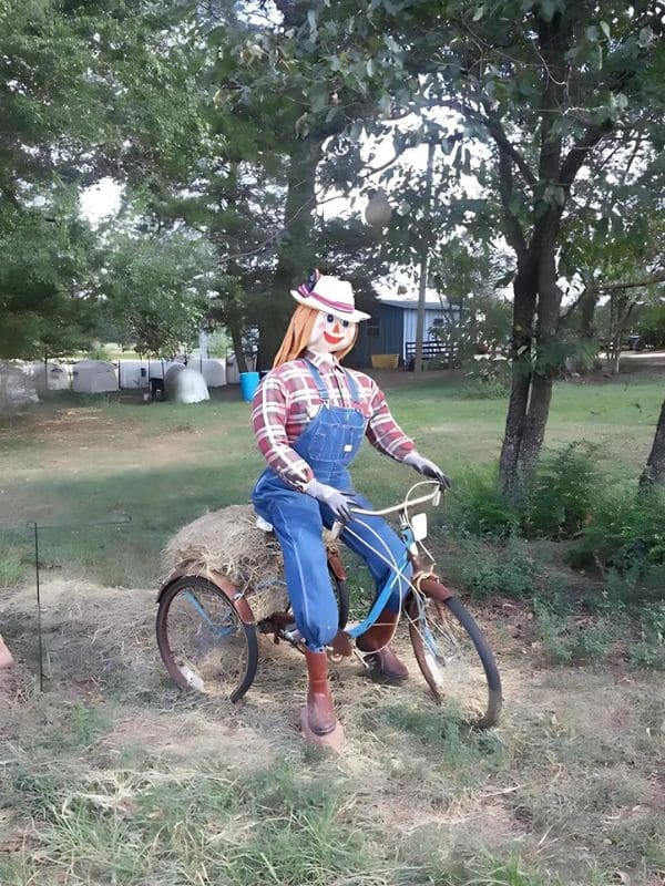 Country Biker Scarecrow Lady