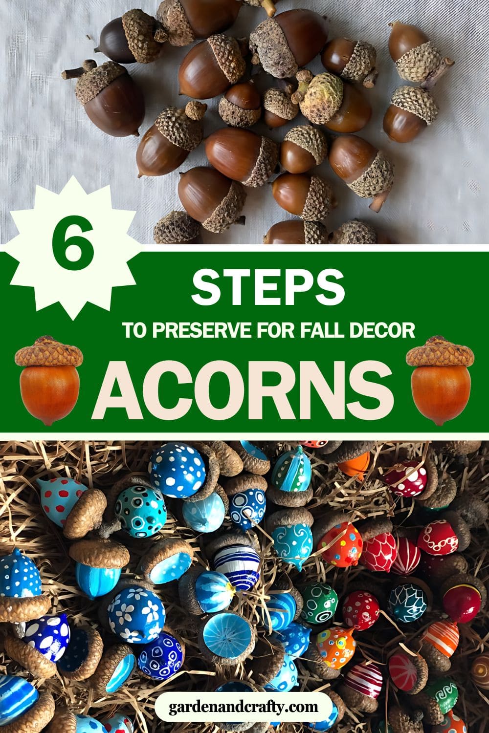 6 Simple Steps to Preserve Acorns for Fall Decor