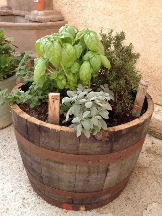 Rustic Wine Barrel Herb Garden