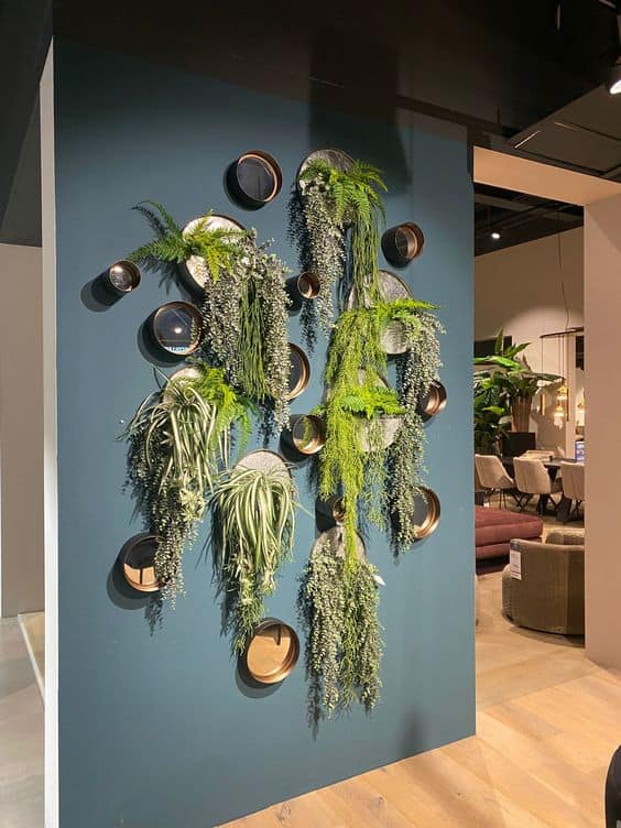 Modern Circular Plant Wall Shelf