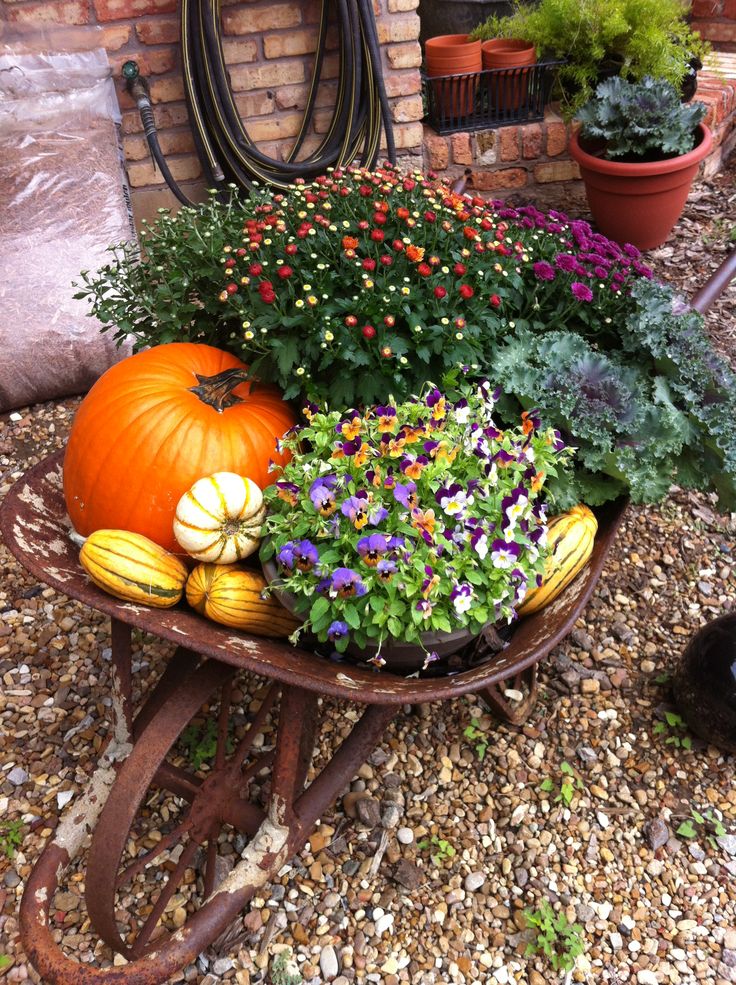 Wheelbarrow Fall Display with Pumpkins and Mums