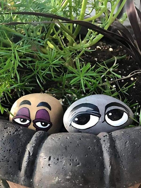 Hilarious Sleepy-Eyed Pebble Pair