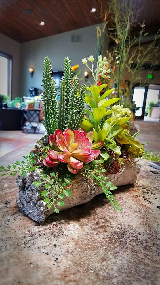 Lush Succulent Tree Trunk Planter