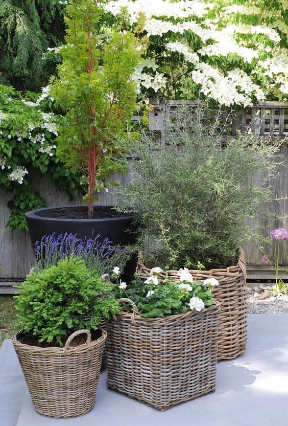 Chic Wicker Basket Planter