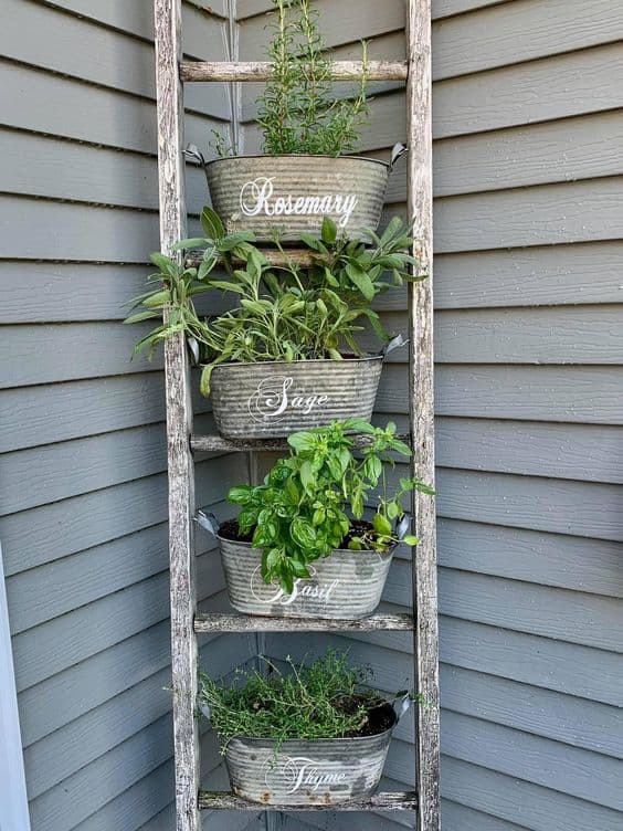 Charming Ladder Herb Garden