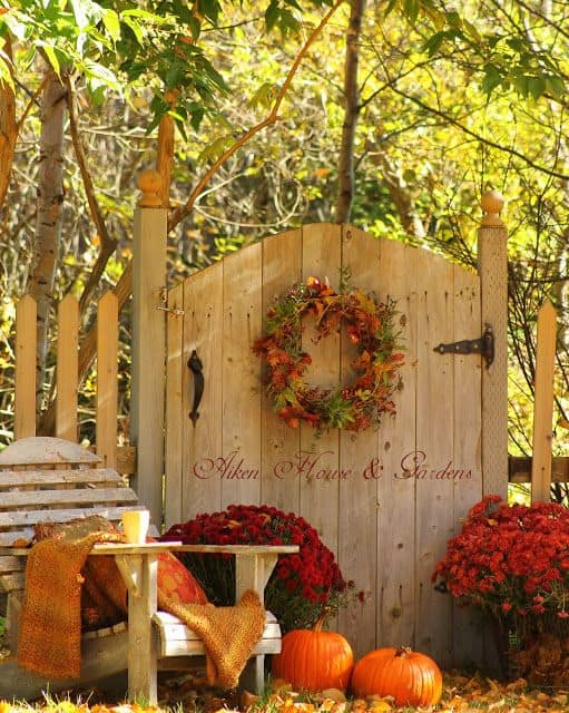 Cozy Autumn Garden Escape