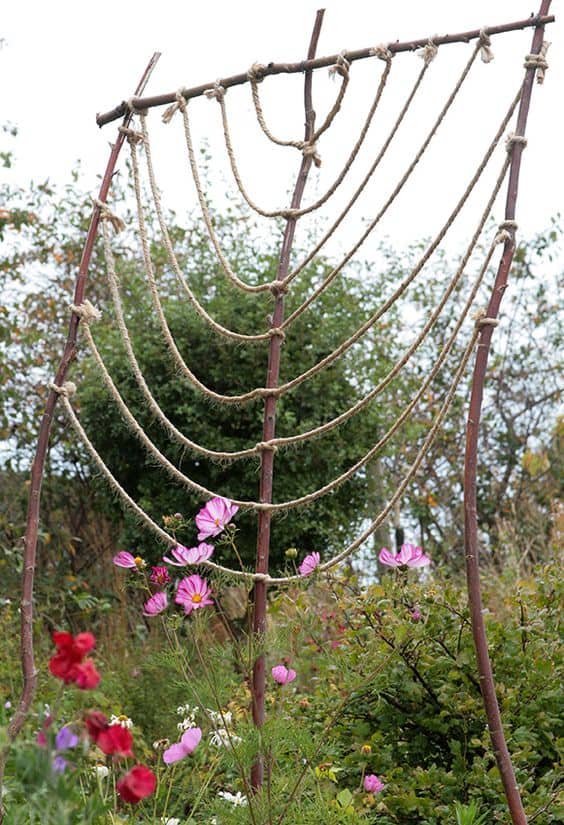 Rustic Rope Climbing Trellis