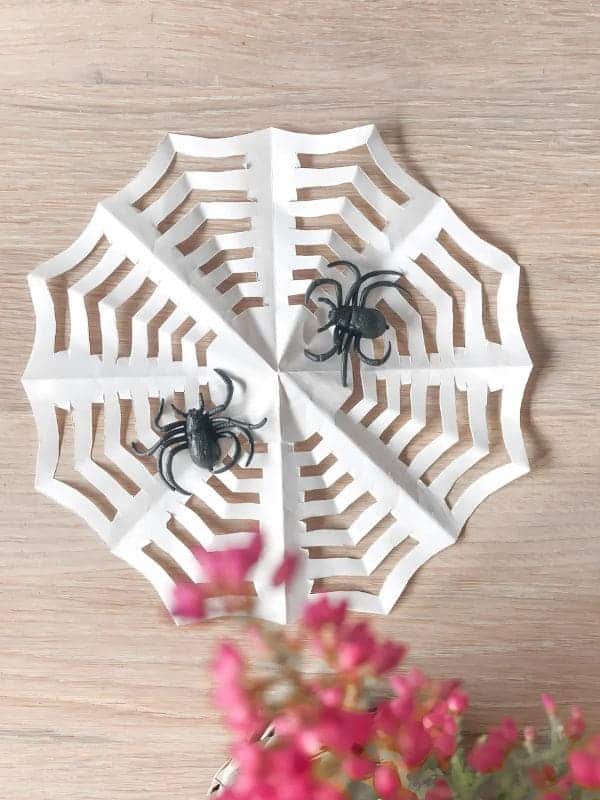 Chic Paper Spiderweb Design