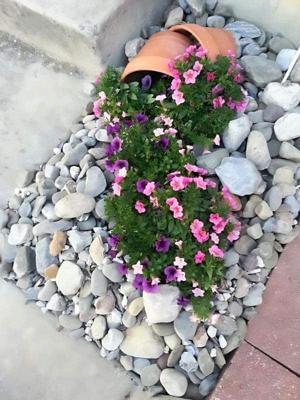 Pastel Petunia Pebble Spill