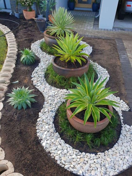 Sculpted Succulent Rock Garden