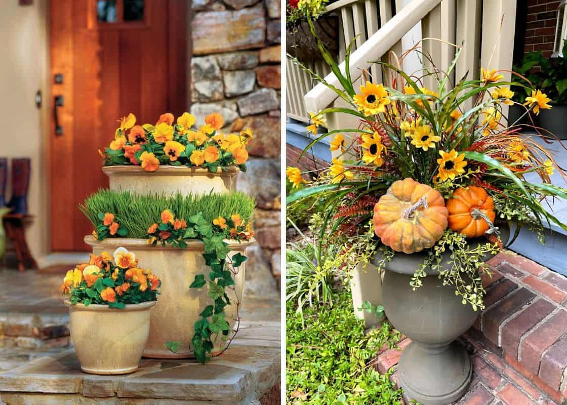 20 Stunning Fall Plants to Elevate Your Pots This Season