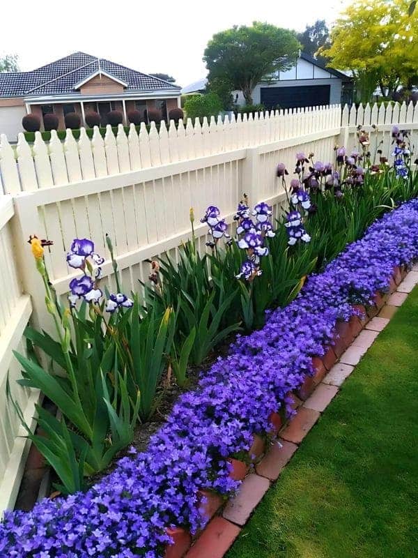 Charming Picket Fence Border Garden