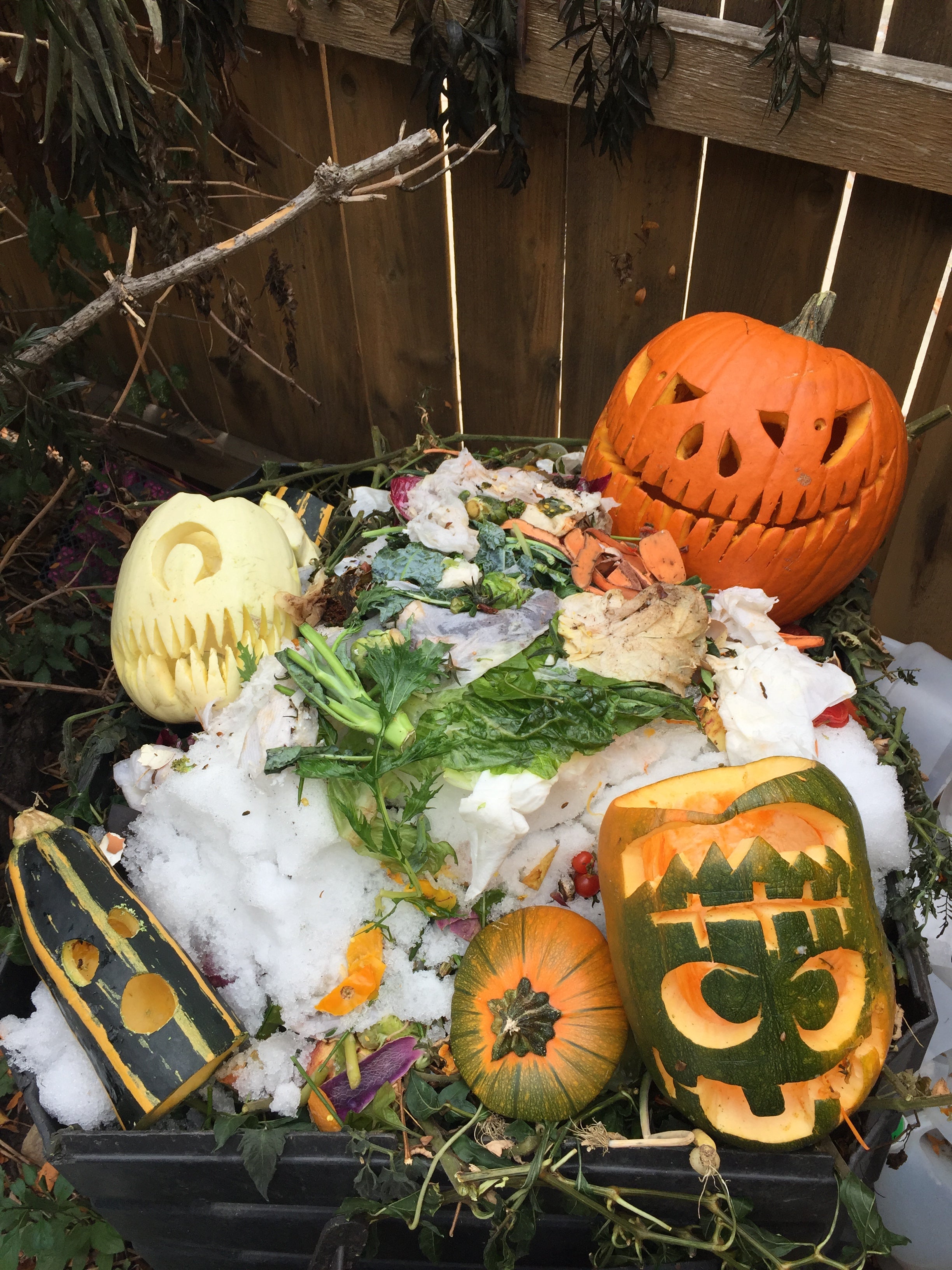 Composting Pumpkin