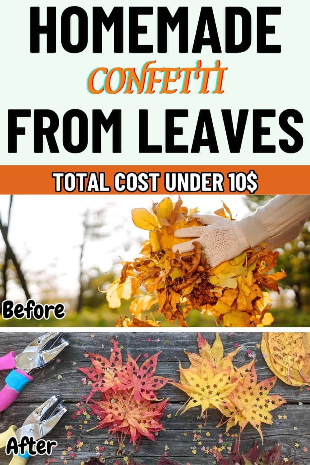 Crafting Homemade Confetti from Leaves in Just 3 Steps