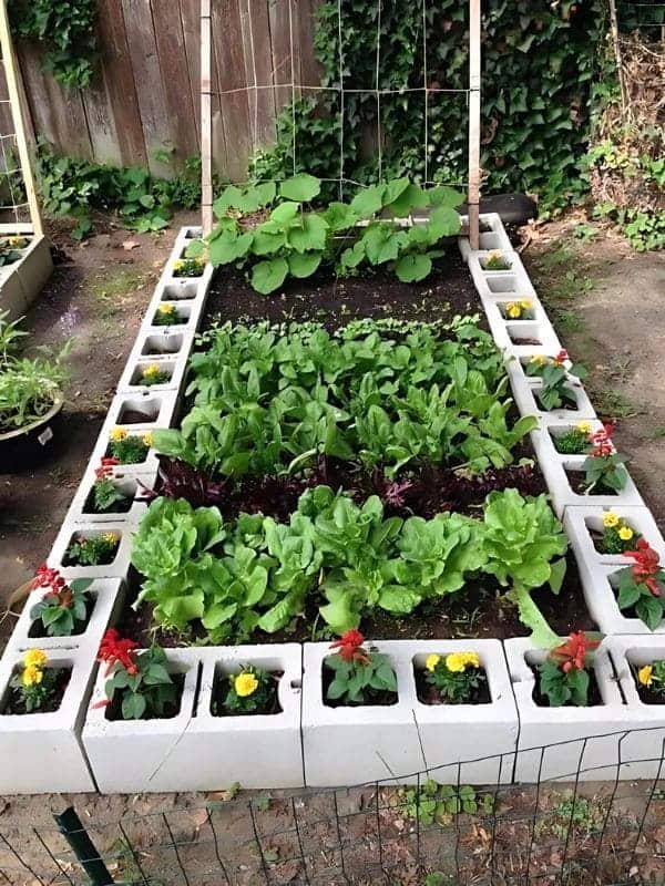 Creative Cinder Block Garden Border