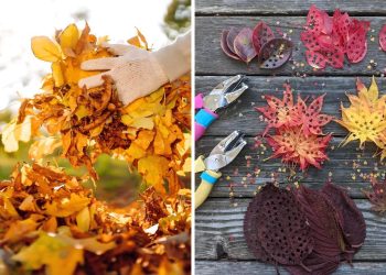 DIY Confetti from Leaves