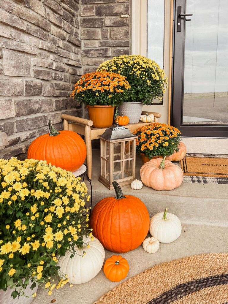 Vibrant Mums and Pumpkin-Filled Fall Porch