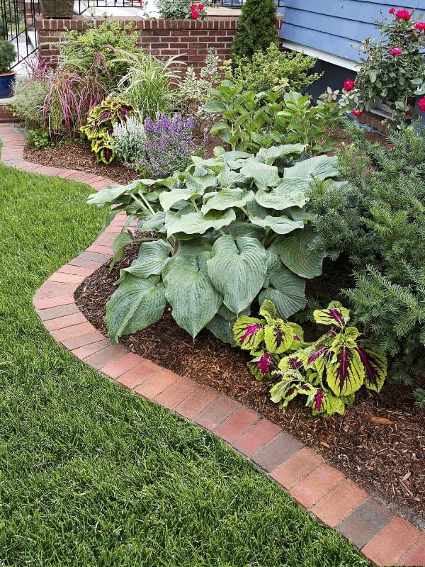 Elegant Brick Edging Garden Border